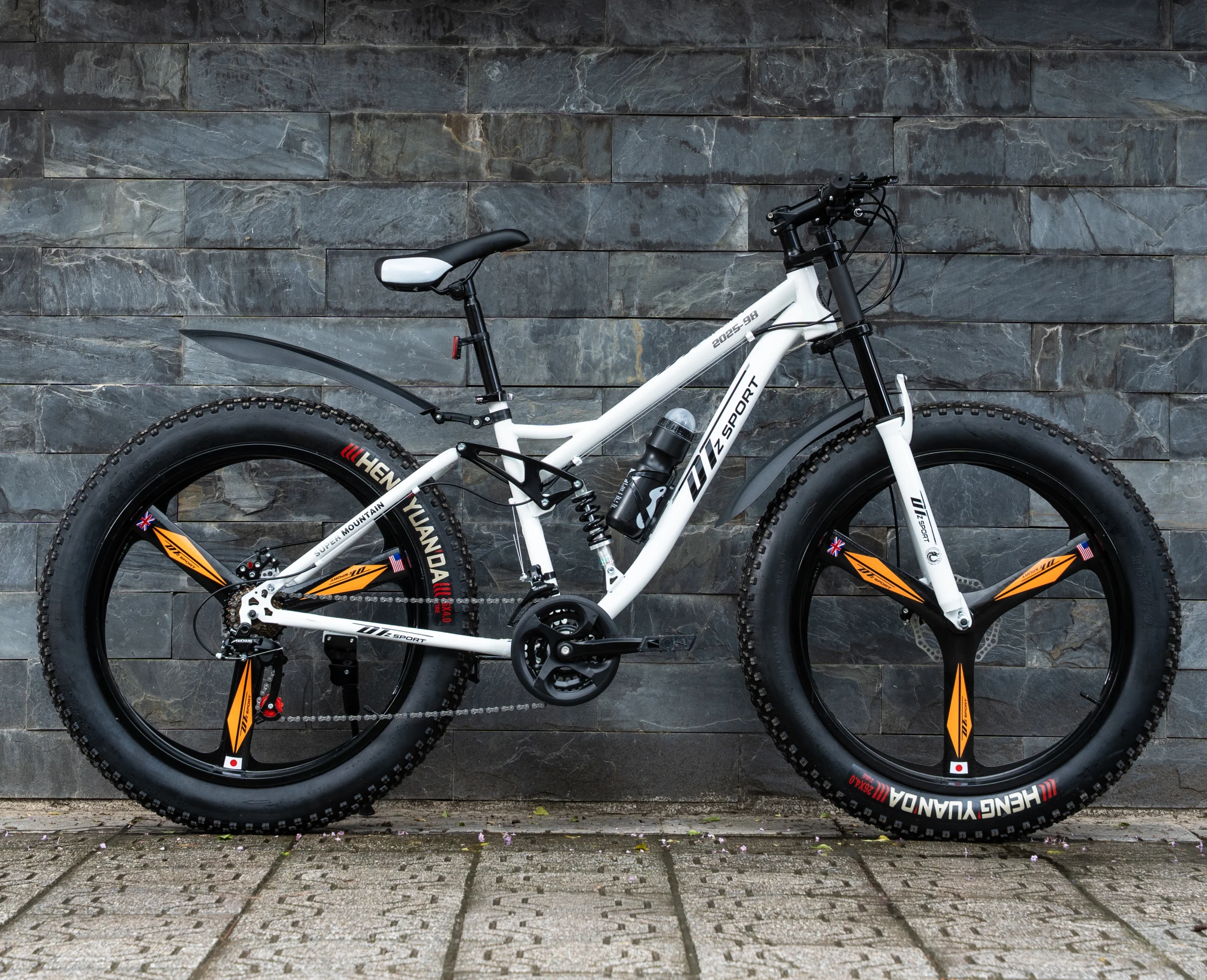 Xe đạp bánh béo DTZ Sport vành đúc 3 đao (Màu Trắng) - Ảnh 2